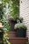 Комплект кашпо CYLINDER PLANTERS - 3 шт. (S+M+L) Комплект кашпо CYLINDER PLANTERS - 3 шт. (S+M+L)